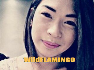 WildFLAMINGO