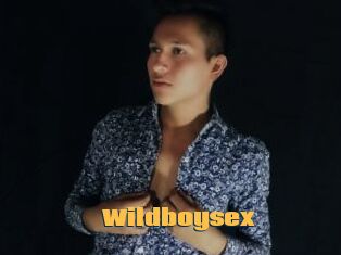 Wildboysex