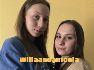 Willaandantonia