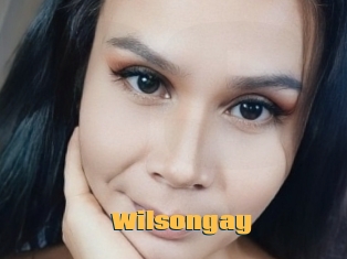 Wilsongay