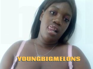 YOUNGBIGMELONS