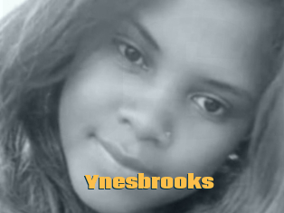 Ynesbrooks