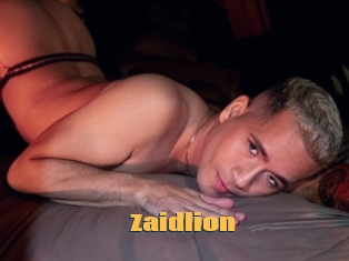 Zaidlion