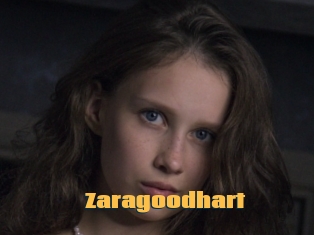 Zaragoodhart