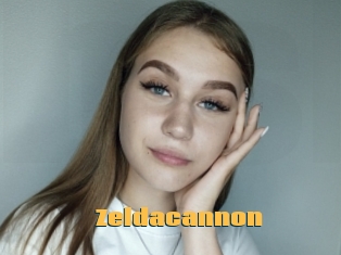 Zeldacannon