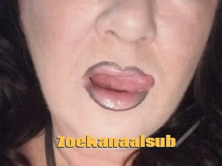 Zoekanaalsub